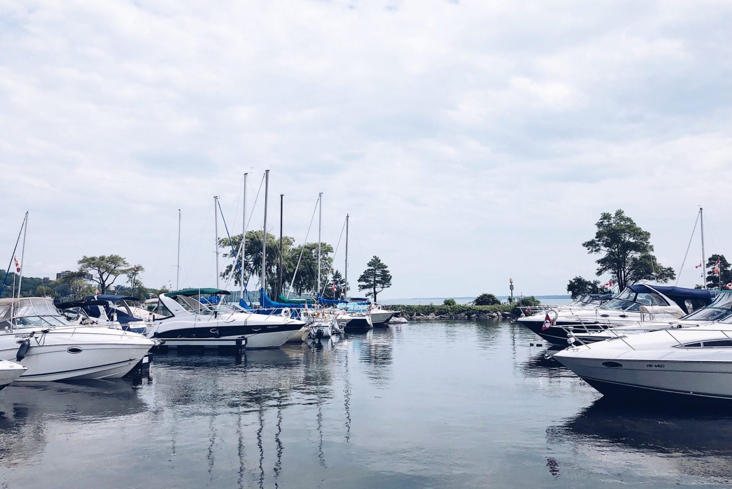 Yacht boats parked at a marina